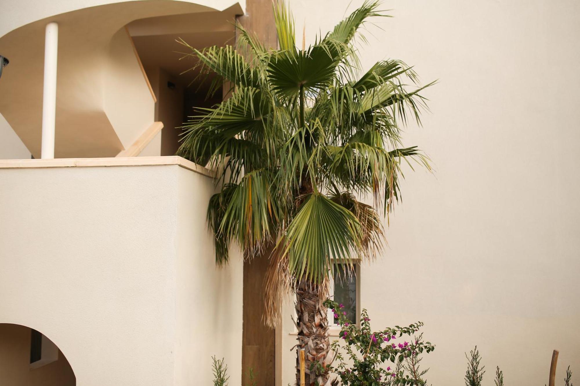 Modern Flat With Montgo View Daire Denia Dış mekan fotoğraf